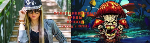 СК Алзамай
